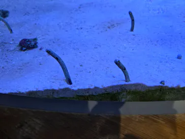 名古屋港水族館に投稿された画像（2026/2/21）