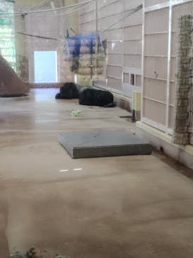 名古屋市東山動植物園に投稿された画像（2026/2/21）