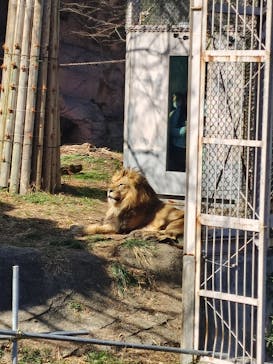 名古屋市東山動植物園に投稿された画像（2026/2/21）