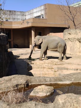 名古屋市東山動植物園に投稿された画像（2026/2/21）