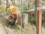 天王寺動物園に投稿された画像（2026/2/21）