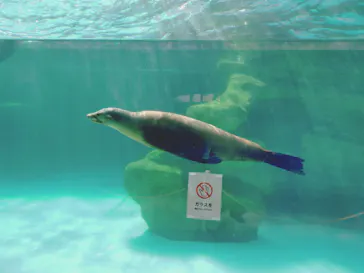 天王寺動物園に投稿された画像（2026/2/21）