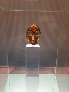 国立科学博物館に投稿された画像（2026/2/21）