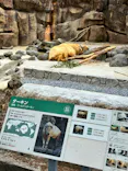 多摩動物公園に投稿された画像（2026/2/21）