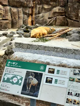 多摩動物公園に投稿された画像（2026/2/21）