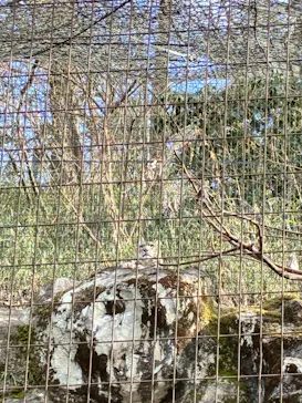 多摩動物公園に投稿された画像（2026/2/21）