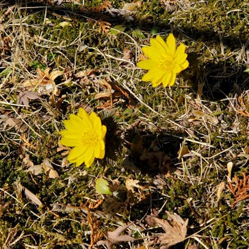 名古屋市東山動植物園に投稿された画像（2026/2/21）