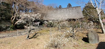 名古屋市東山動植物園に投稿された画像（2026/2/21）