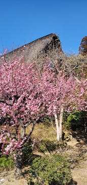 名古屋市東山動植物園に投稿された画像（2026/2/21）