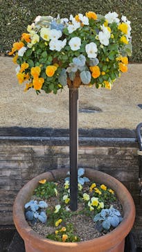 安城産業文化公園デンパークに投稿された画像（2026/2/21）