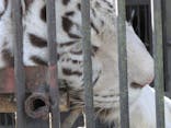 宇都宮動物園に投稿された画像（2026/2/21）