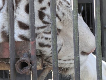 宇都宮動物園に投稿された画像（2026/2/21）