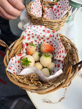 ニューベリーに投稿された画像（2026/2/21）