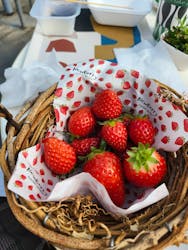 ニューベリーに投稿された画像（2026/2/21）