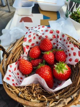 ニューベリーに投稿された画像（2026/2/21）