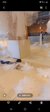 PLAY! PARK（プレイパーク）に投稿された画像（2026/2/21）