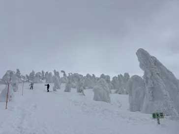 阿仁スキー場に投稿された画像（2026/2/21）