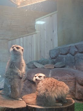 那須どうぶつ王国に投稿された画像（2026/2/21）