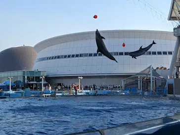 名古屋港水族館に投稿された画像（2026/2/21）