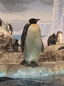 名古屋港水族館に投稿された画像（2026/2/21）