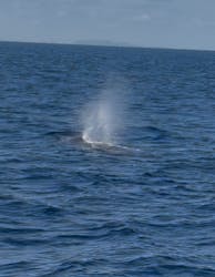 Oscamintol（オスカミントル）に投稿された画像（2026/2/21）