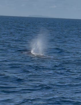 Oscamintol（オスカミントル）に投稿された画像（2026/2/21）