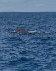 Oscamintol（オスカミントル）に投稿された画像（2026/2/21）