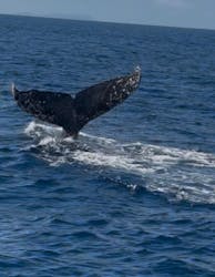 Oscamintol（オスカミントル）に投稿された画像（2026/2/21）