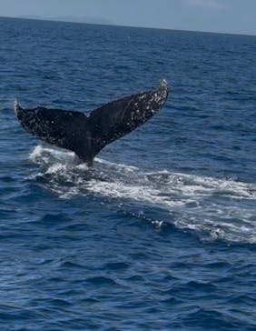 Oscamintol（オスカミントル）に投稿された画像（2026/2/21）