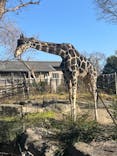 天王寺動物園に投稿された画像（2026/2/21）