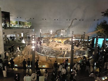 福井県立恐竜博物館に投稿された画像（2026/2/21）