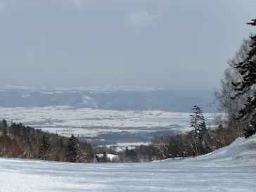 富良野スキー場に投稿された画像（2026/2/21）