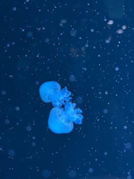 AOAO SAPPOROに投稿された画像（2026/2/21）