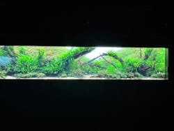 AOAO SAPPOROに投稿された画像（2026/2/21）