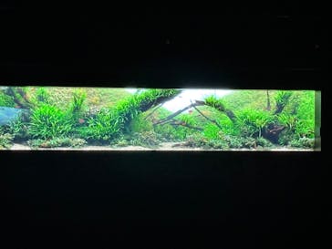 AOAO SAPPOROに投稿された画像（2026/2/21）