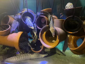 竹島水族館に投稿された画像（2026/2/21）