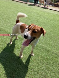 つくばわんわんランドに投稿された画像（2026/2/21）