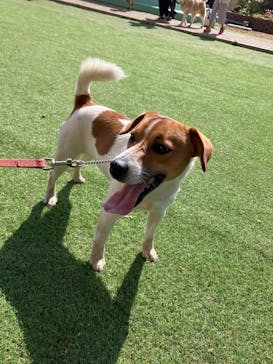 つくばわんわんランドに投稿された画像（2026/2/21）