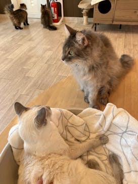 つくばわんわんランドに投稿された画像（2026/2/21）