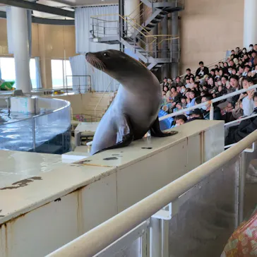 アクアワールド茨城県大洗水族館に投稿された画像（2026/2/21）
