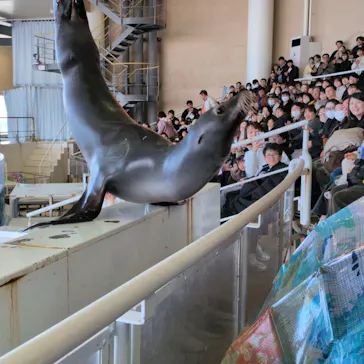 アクアワールド茨城県大洗水族館に投稿された画像（2026/2/21）