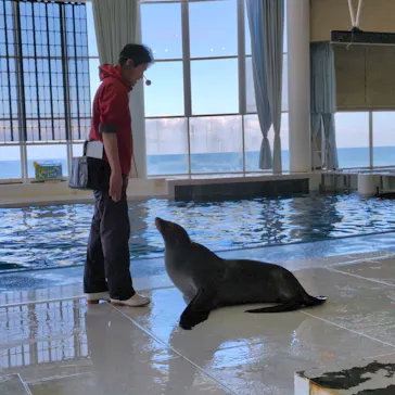 アクアワールド茨城県大洗水族館に投稿された画像（2026/2/21）