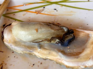 海女小屋 相差かまどに投稿された画像（2026/2/21）