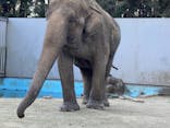 宇都宮動物園に投稿された画像（2026/2/21）