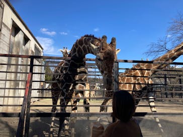 宇都宮動物園に投稿された画像（2026/2/21）