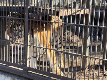 宇都宮動物園に投稿された画像（2026/2/21）