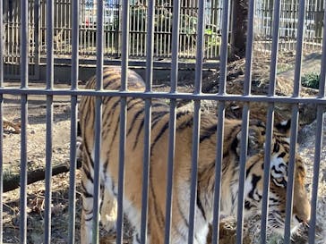 宇都宮動物園に投稿された画像（2026/2/21）