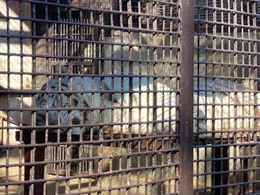 宇都宮動物園に投稿された画像（2026/2/21）