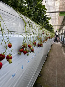 高津園に投稿された画像（2026/2/21）