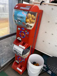 高津園に投稿された画像（2026/2/21）